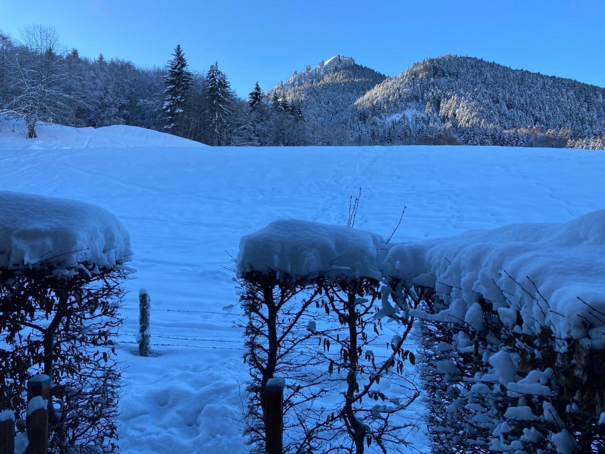 Appartement 2 Pieces Pieds Des Pistes Terrasse Face A La Montagne Берне Екстериор снимка